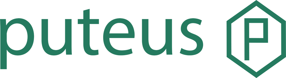 Puteus